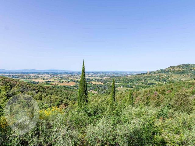 Rustico in vendita a Cortona, Toscana