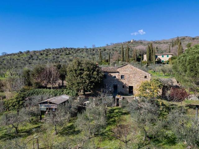 Rustico in vendita a Cortona, Toscana