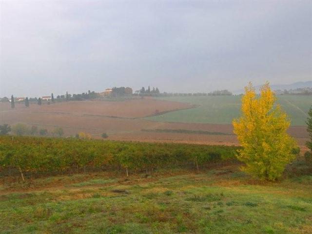Rustico in vendita a Cortona