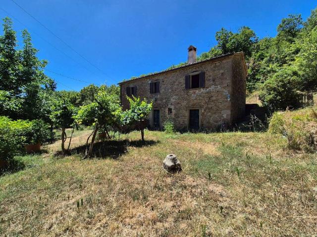 Rustico in vendita a Cignano, Cortona
