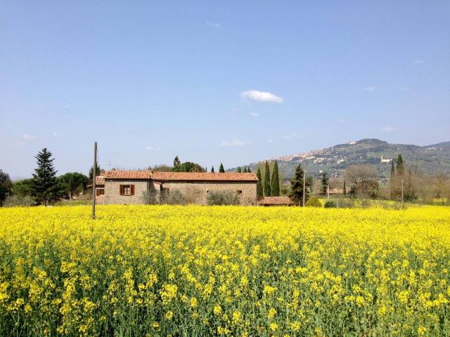Rustico in vendita a Cortona, Toscana