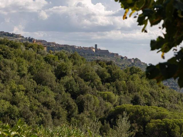 Rustico in vendita a Cortona, Arezzo