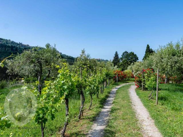 Rustico in vendita a Tavarnelle-Sant'Eusebio, Cortona