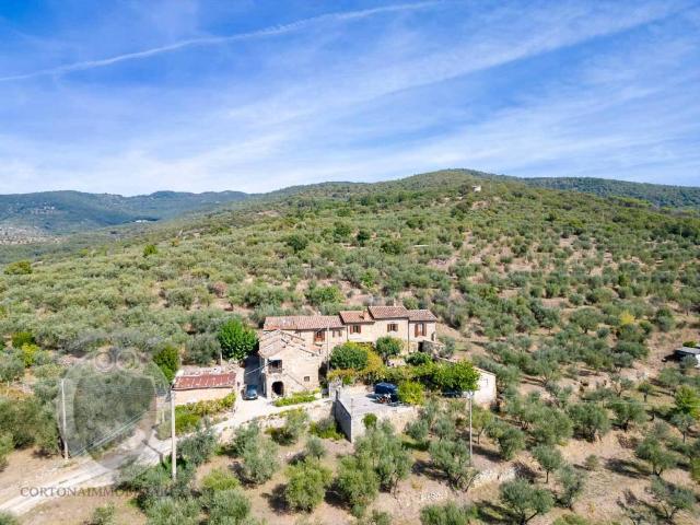 Rustico in vendita a Cortona, Toscana