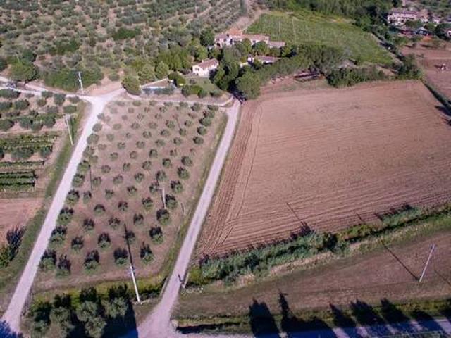 Rustico in vendita a Cortona, Toscana