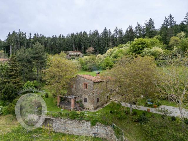 Rustico in vendita a Cortona, Arezzo
