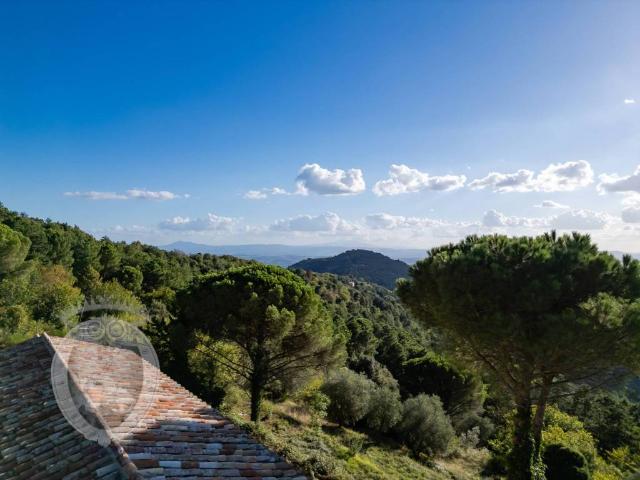 Rustico in vendita a Cortona, Toscana