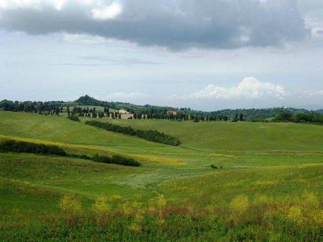 Rustico in vendita a Crespina Lorenzana, Laura