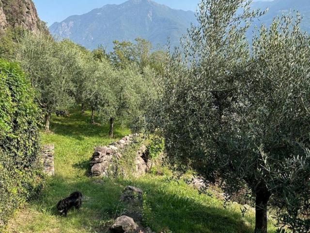 Rustico in vendita a Comunità montana della valle Camonica, Darfo