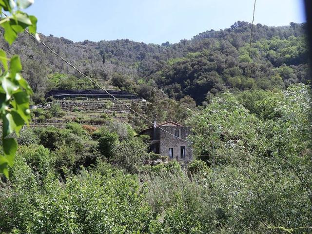 Rustico in vendita a Dolceacqua, Liguria