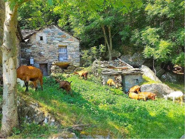 Rustico in vendita a Donnas, Aosta