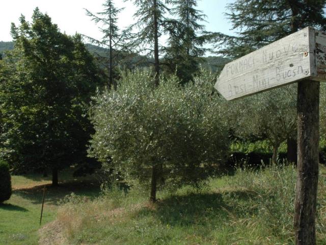 Rustico in vendita a Unione di Comuni della Romagna Forlivese, Dovadola