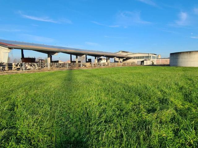 Rustico in vendita a Roncadello, Dovera