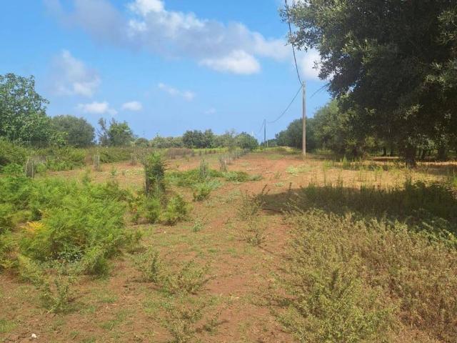 Rustico in vendita a Carìa, Drapia