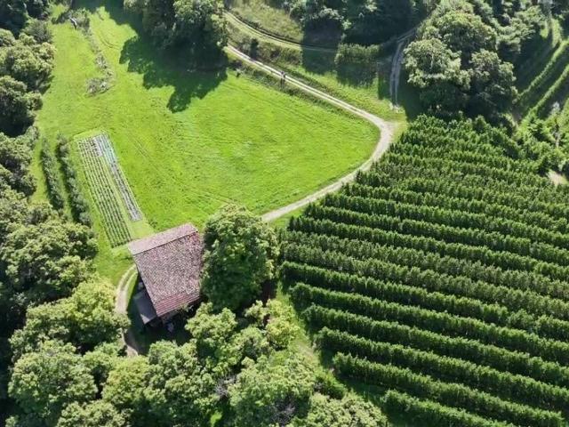 Rustico in vendita a Comunità Alto Garda e Ledro, Drena