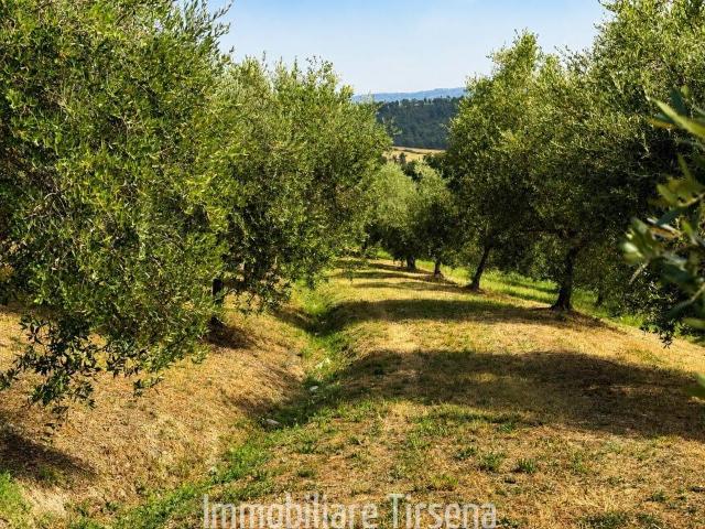 Rustico in vendita a Fabro, Umbria