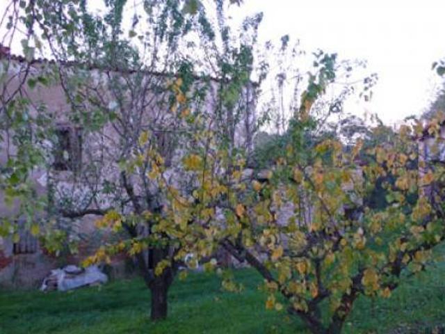 Rustico in vendita a Unione della Romagna Faentina, Faenza