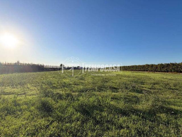 Rustico in vendita a Cascina, Faenza