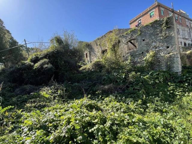 Rustico in vendita a Belvedere, Falcone