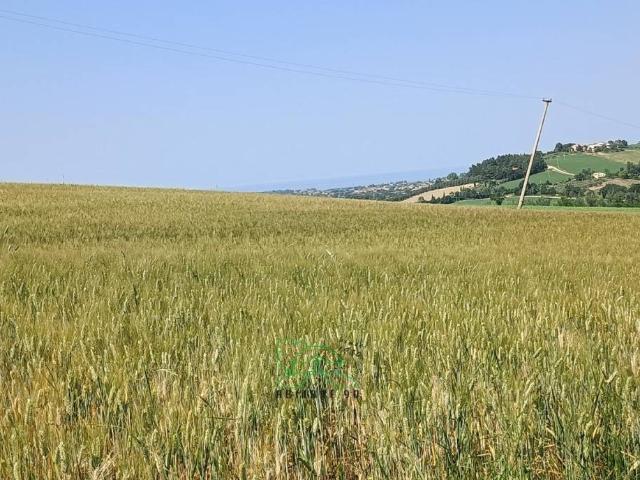 Rustico in vendita a Marche, Pesaro E Urbino