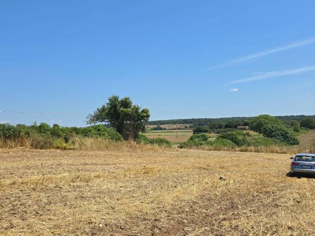 Rustico in vendita a Farnese, Lazio