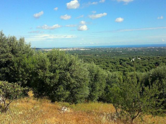 Rustico in vendita a Puglia, Brindisi