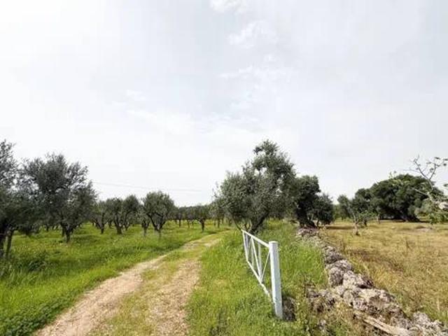 Rustico in vendita a Savelletri, Puglia