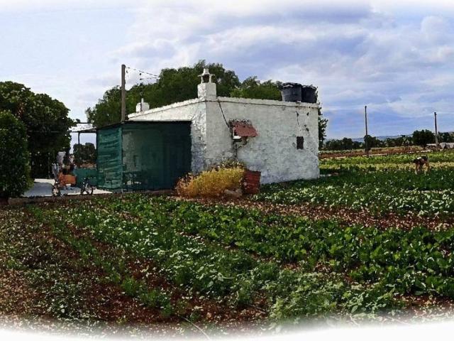 Rustico in vendita a Egnazia scavi, Puglia