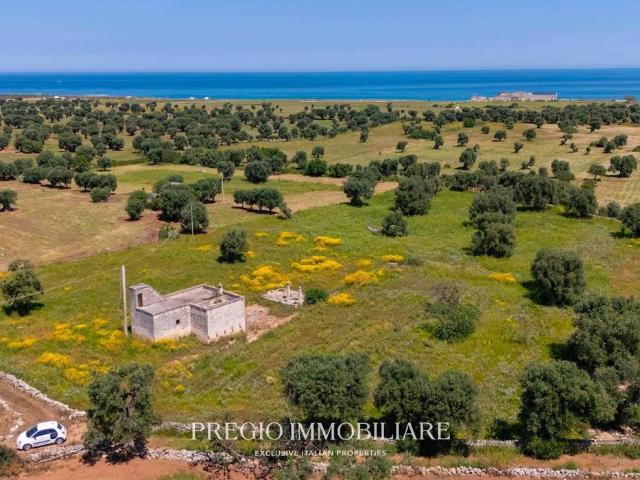 Rustico in vendita a Puglia, Brindisi