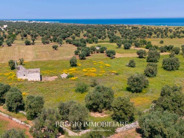 Rustico in vendita a Puglia, Brindisi