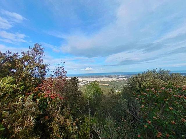 Rustico in vendita a Puglia, Brindisi