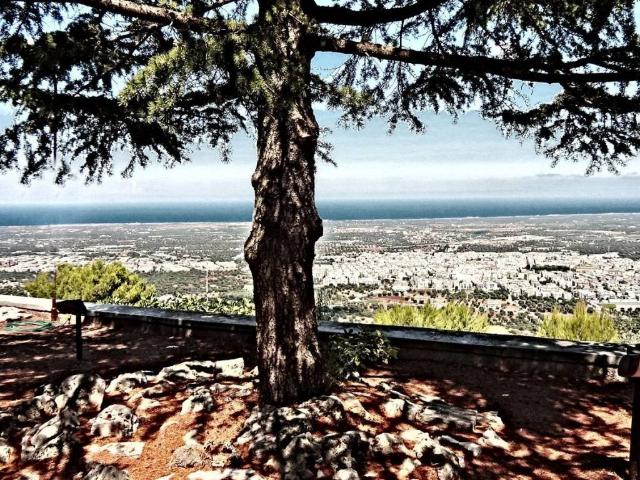 Rustico in vendita a Selva, Puglia