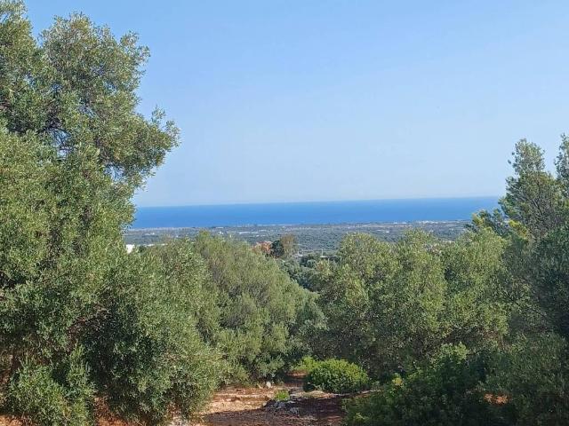 Rustico in vendita a Canale di Pirro, Puglia