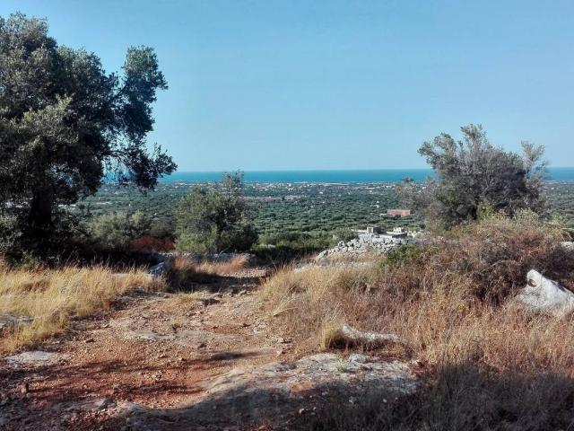 Rustico in vendita a Selva, Puglia