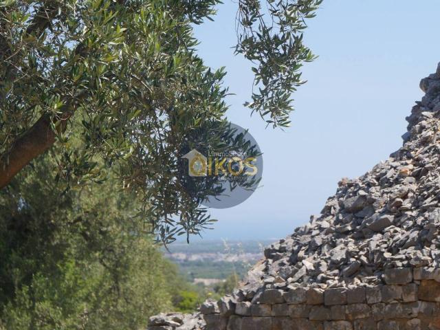 Rustico in vendita a Puglia, Brindisi