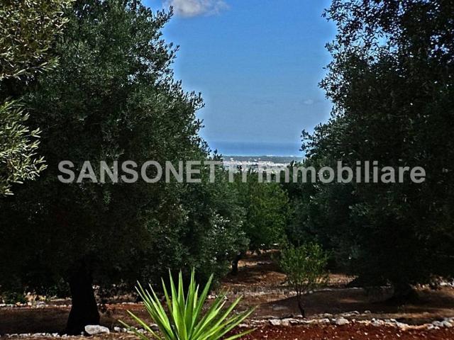 Rustico in vendita a Puglia, Brindisi