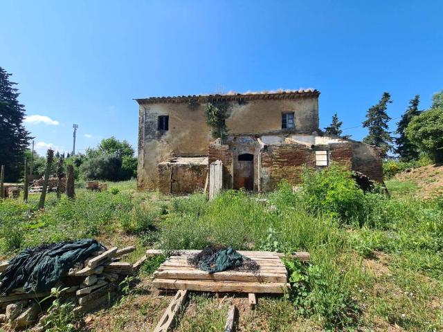 Rustico in vendita a Fauglia, Toscana