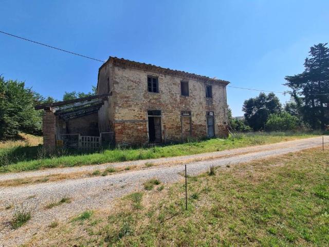 Rustico in vendita a Fauglia, Toscana
