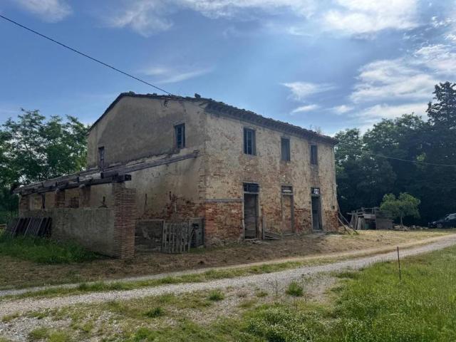 Rustico in vendita a Fauglia, Toscana