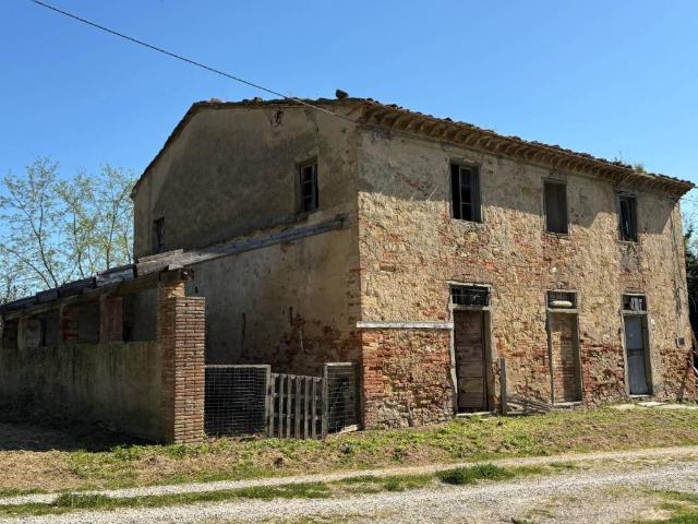 Rustico in vendita a Fauglia, Toscana
