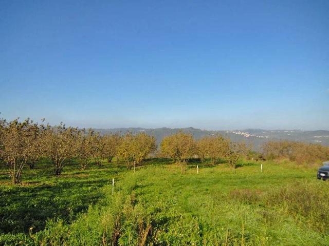 Rustico in vendita a Piemonte, Cuneo