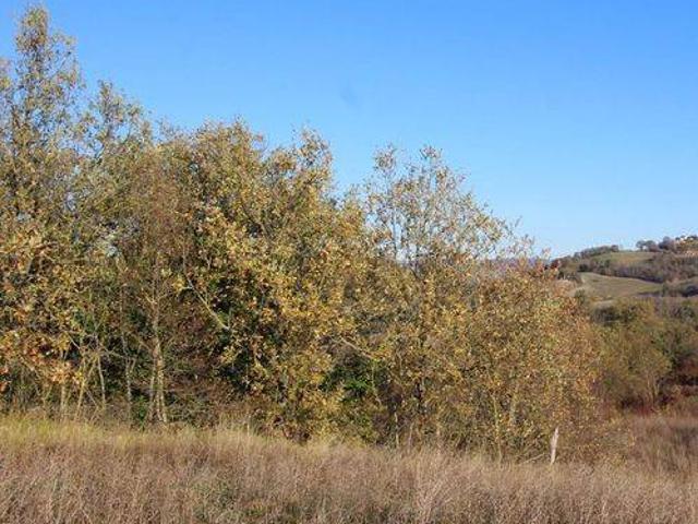 Rustico in vendita a Fermignano, Pesaro e Urbino