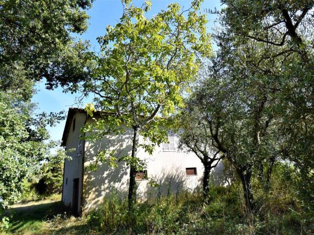 Rustico in vendita a Marche, Fermo