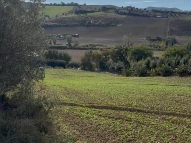 Rustico in vendita a Villa Vitali, Marche