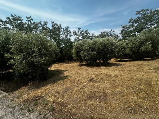 Rustico in vendita a Tirassegno, Marche