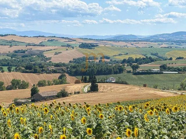 Rustico in vendita a Marche, Ancona