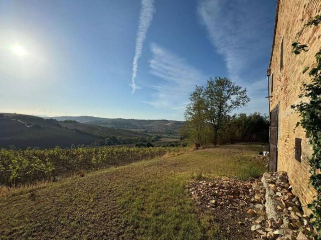 Rustico in vendita a Marche, Ancona