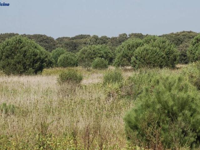 Rustico in vendita a Roma Capitale, Lazio