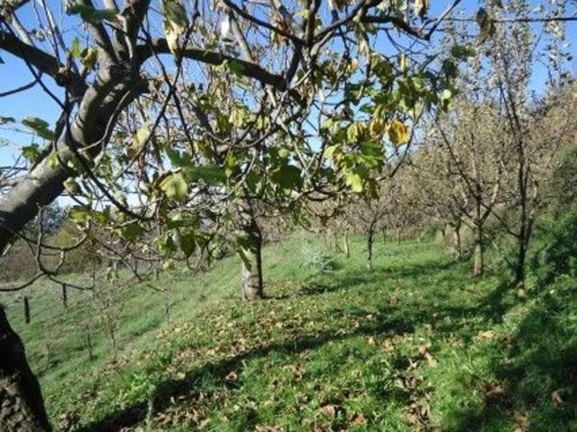 Rustico in vendita a Unione di comuni Montana Lunigiana, Fivizzano