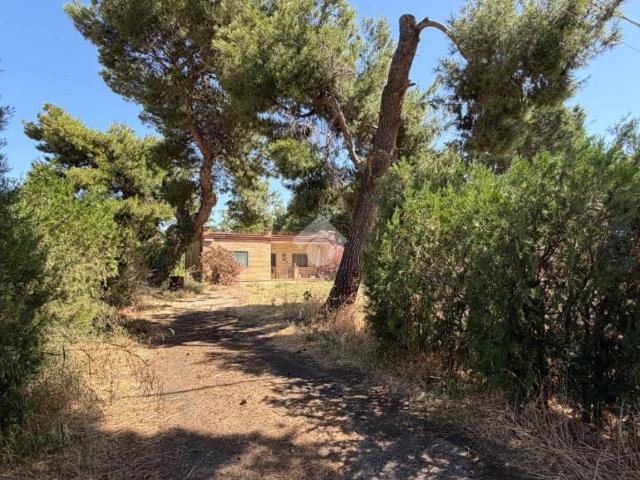 Rustico in vendita a Puglia, Foggia
